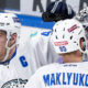 Barys juhlii maalia.