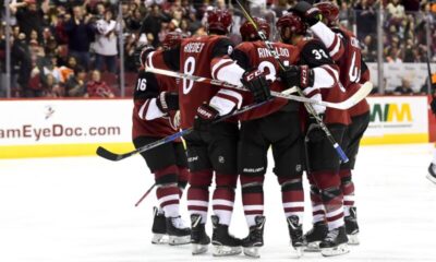 Arizona Coyotes juhlii maalia.