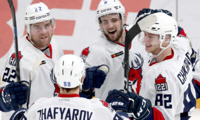 Torpedo juhlii maalia.