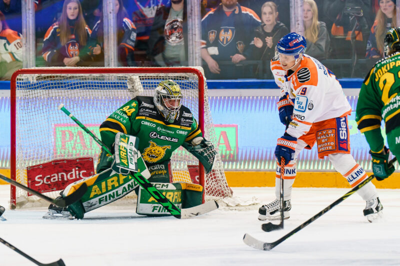 Tampereen paikallinen. Tappara, Ilves